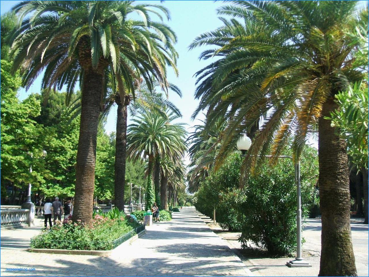 Hotel Royal San Benedetto del Tronto Exterior photo